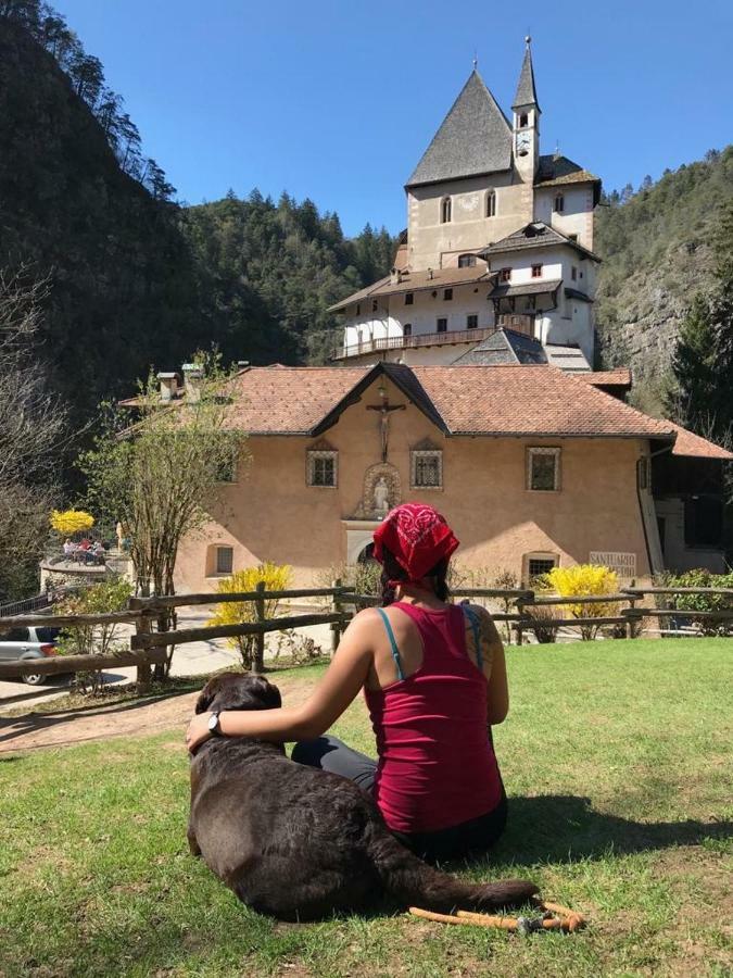 Casa Streberi Daire Castelfondo Dış mekan fotoğraf
